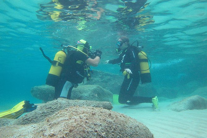 Beginners Diving in Santa Ponsa - Customer Feedback and Ratings