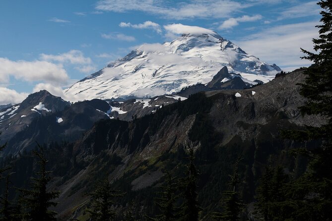 Bellingham to Mt. Baker Experience - Customer Feedback