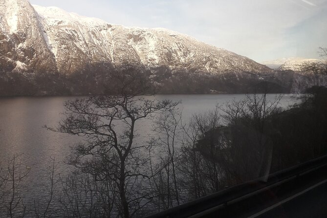 Bergen Private City Meets Fjord Group Tour - Traveler Engagement