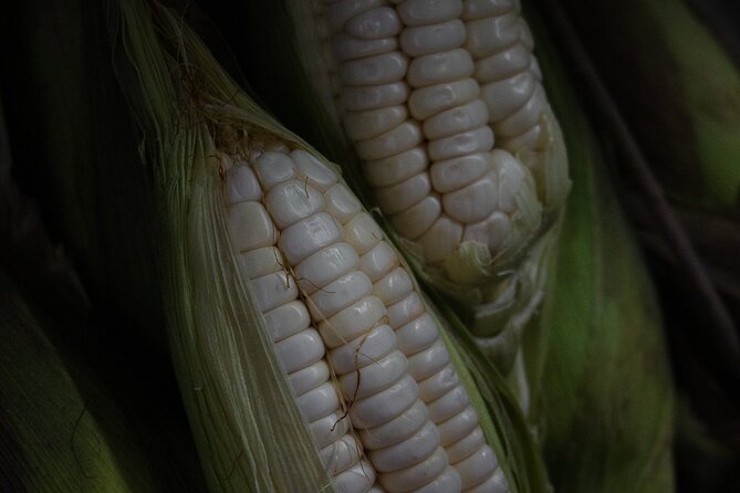 Best Cooking Classes and Local Market Visit in Miraflores - Gaining Culinary Expertise