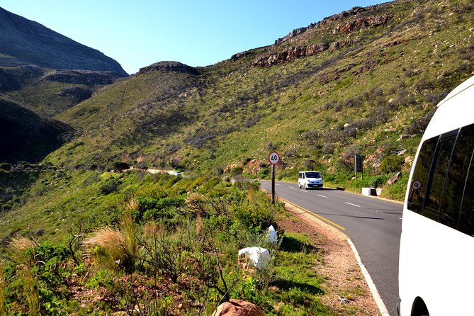 Best of the Cape (Cape Point & Winelands) - Traveler Reviews and Experiences