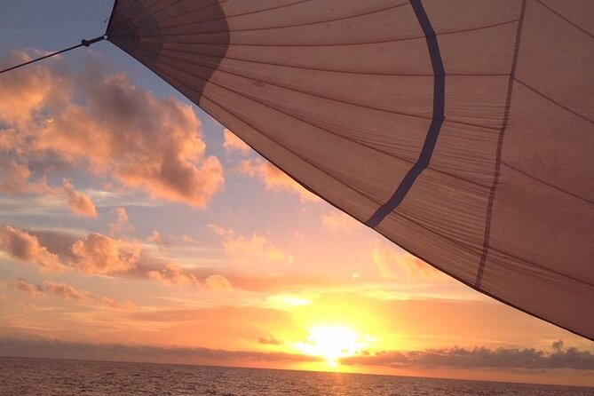Best Private Luxury 4 Hour Sailing/Snorkeltour From Cruz Bay - Guest Experience