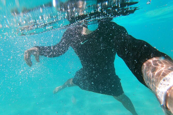 Best Private Punta Cana Snorkeling Tour & Natural Pool Stop - Natural Pool Experience