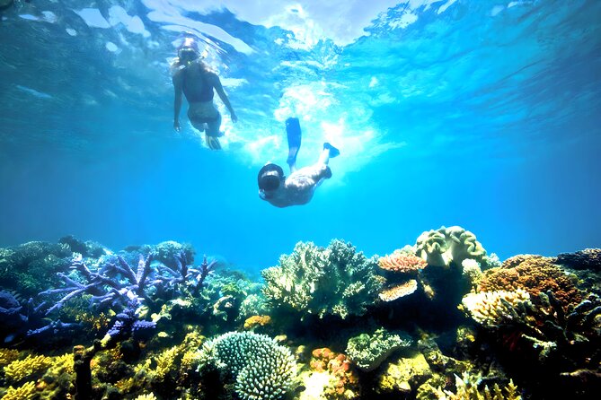 Best Snorkeling Activity in Blue Lagoon Beach Bali - Customer Reviews and Testimonials