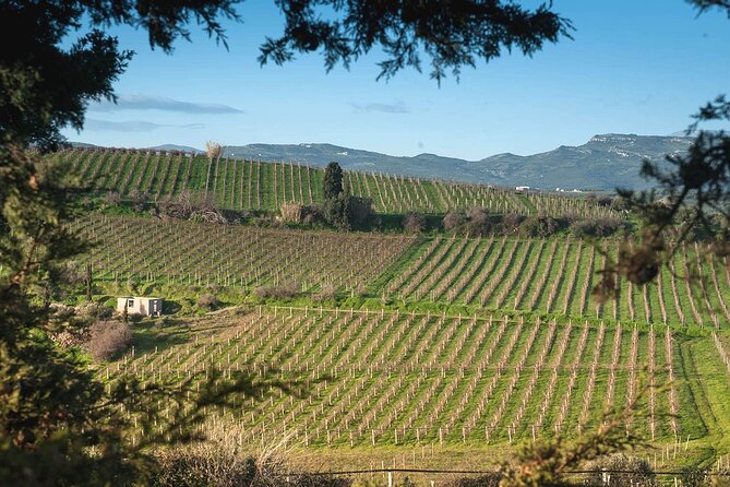 Best Wines of Crete: Wine Tasting Tour & Traditional Lunch - Exploring Cretan Gastronomy