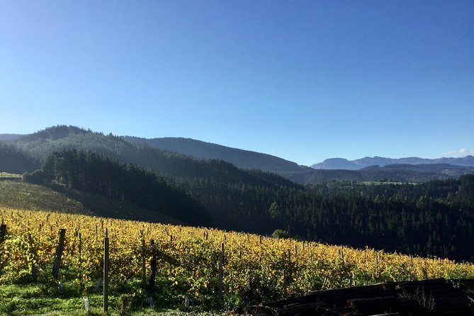 Bilbao Txakoli Wine Tour - Booking and Payment Options