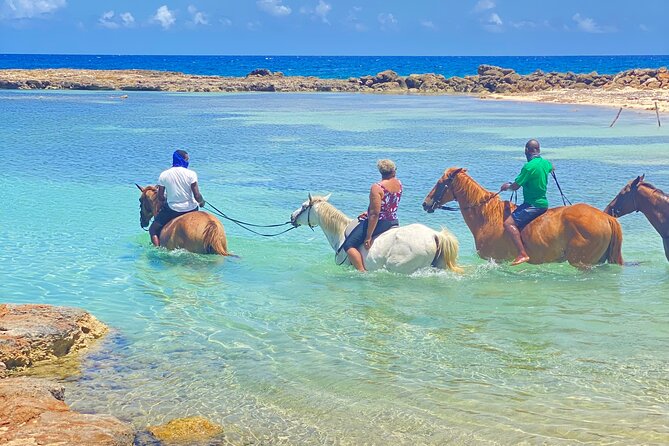 Birthday Celebration Experience in Jamaica + Transportation - Pricing and Cancellation Policy