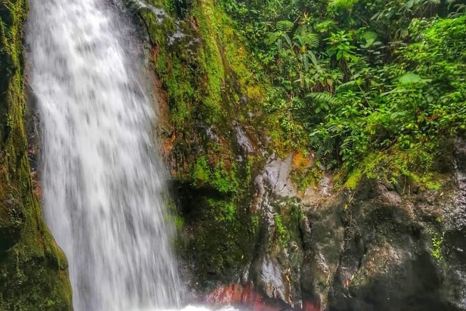 Blue Falls and Catarata Toro Hiking Tour - Exploring Blue Falls