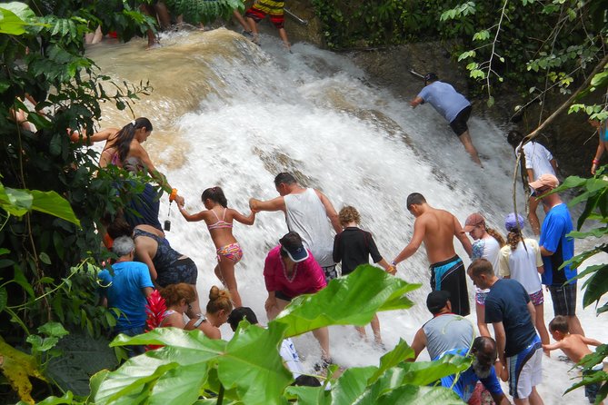 Blue Hole and Dunns River Falls From Falmouth - Dunns River Falls Adventure