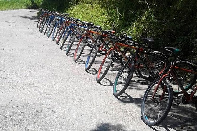 Blue Mountain Bicycle Tour From Montego Bay - Cancellation Policy and Booking