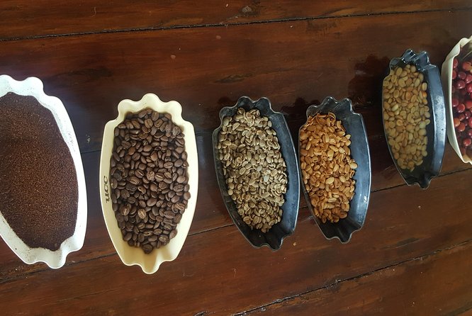 Blue Mountain Coffee Tour From Runaway Bay - Tour Requirements and Accessibility
