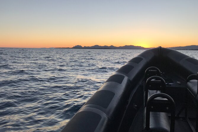 Boat Excursion - Nice/St Jean Cap Ferrat 1H30 - Customer Review Highlights
