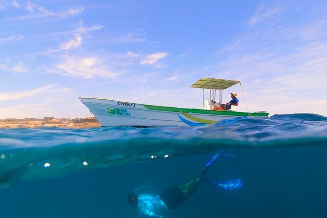 Boat Ride to the Arch and Snorkel - Traveler Feedback