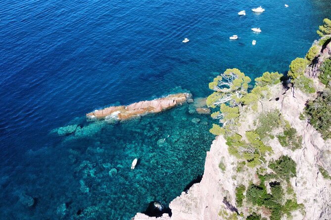 Boat Tour La Spezia Review: An Unforgettable Experience - Guests Praise for the Guide