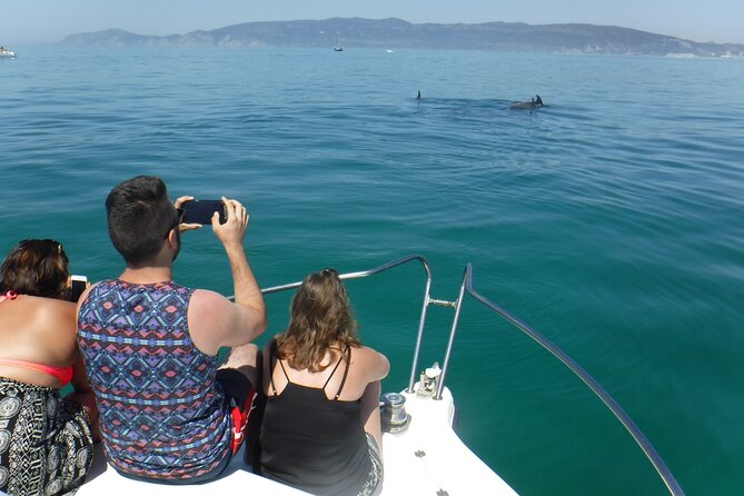 Boat Trip for Dolphin Watching Along the Arrabida Coast and Sesimbra - Traveler Reviews and Ratings
