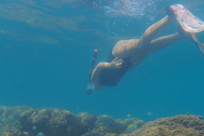 Boating Along the Coastline of San Carlos With a Marine Biologist - Traveler Recommendations
