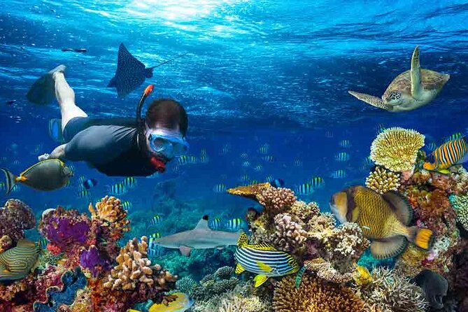 Boatride/Snorkeling and Local Food Hunt in Montego Bay Activity - Tour Highlights