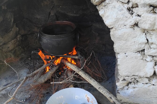 Bodrum Rustic Lunch and Olive Tasting Tour - Tour Highlights
