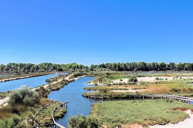 Bodyflow Experience in Karavasta Lagoon From Tirana & Durres - Yoga and Relaxation
