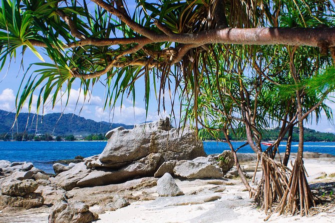 Bon Island Tour by Longtail Boat With Lunch - Traveler Reviews