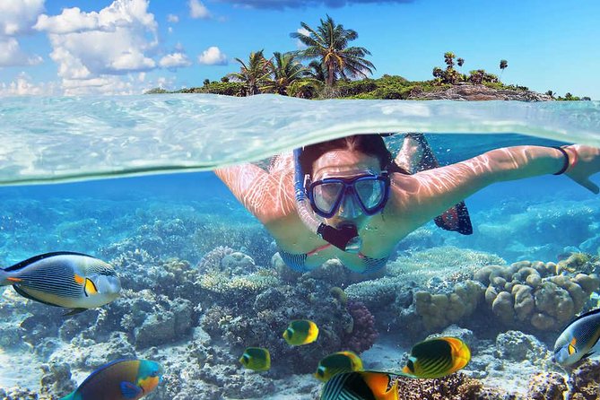 Booze Cruise Party Boat in Punta Cana (Half Day) - Traveler Reviews and Feedback