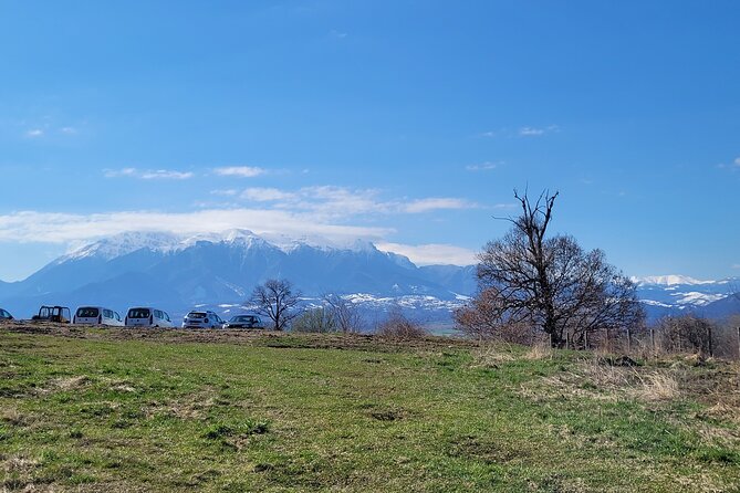 Bran Castle & Bear Sanctuary From Brasov - Optional Peles Castle - Transportation and Logistics