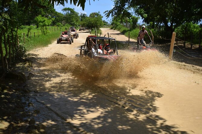 Buggy Ride in the Dominican Countryside From Bávaro - Accessibility