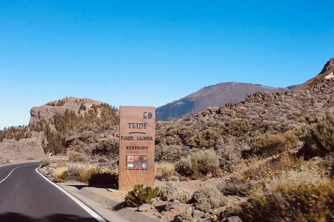 BUGGY TOUR VOLCANO TEIDE With Wine Degustation - Accessibility