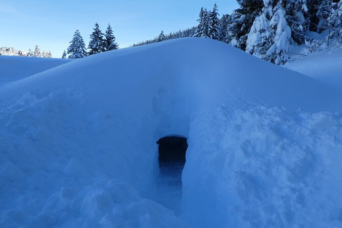 Building an Igloo? a Childs Play! - Decorating the Igloo