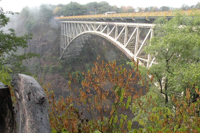 Bungee Jumping at The Victoria Falls Bridge - Booking and Availability