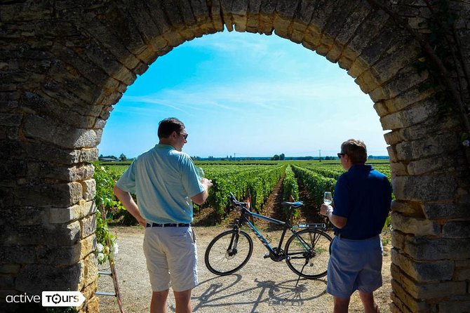 Burgundy Wine Trail From Beaune to Macon - Wine Tasting Opportunities