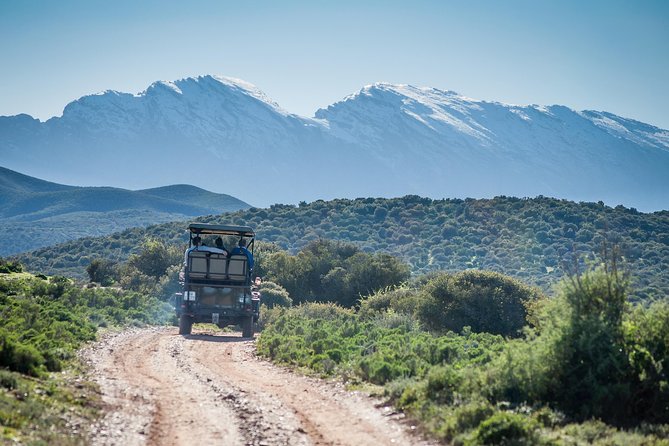 Bush Safari - Pricing and Inclusions