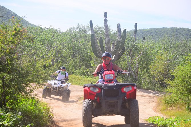 Cabo Candelaria Village Adventure + Tequila Tasting - Cancellation Policy and Reviews