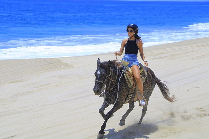 Cabo Horseback Riding on Pacific Beach and Desert - Customer Feedback