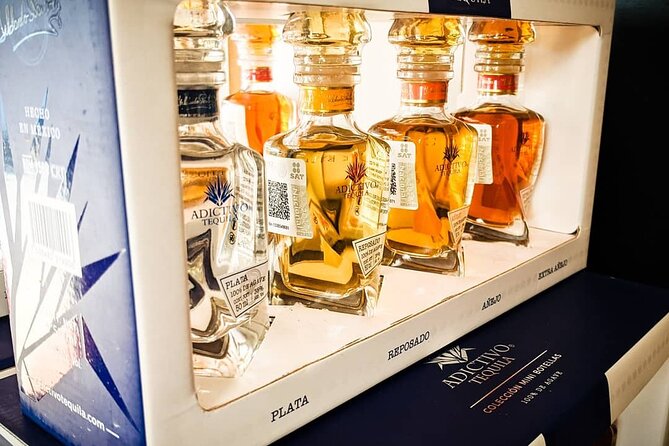 Cabo San Lucas Tequila Tasting Experience - Tasting Guidance