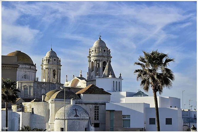 Cadiz Shore Excursion: Scenic & Walking Tour With Cheese and Sherry Tasting - Accessibility Information