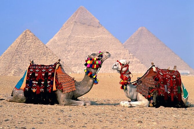 Cairo Tour From Hurghada by Air Pyramids, Grand Museum, Old Cairo - Private Transportation