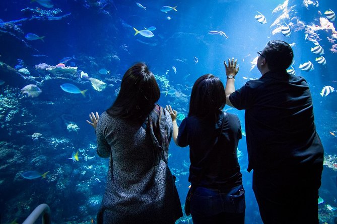 California Academy of Sciences NightLife Admission Ticket - Reviews and Recommendations