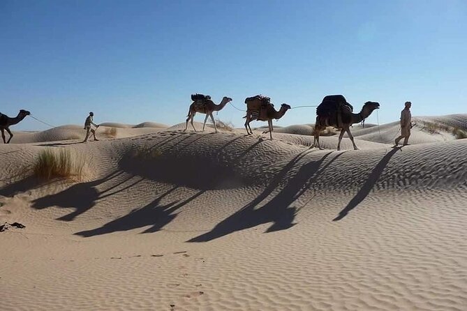 Camel Ride and 1 Night in the Desert - Inclusions and Exclusions