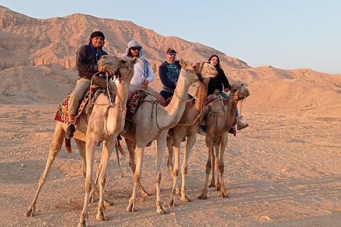 Camel Riding Tour in Luxor West Bank - Tour Inclusions and Benefits