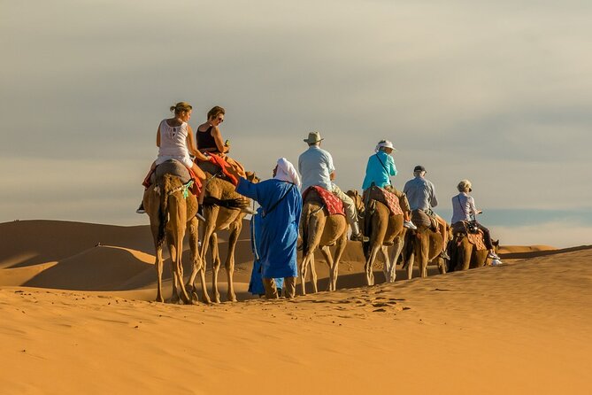 Camel Trek With 1 Night in Luxury Camp With Dinner+ Sundbording - Pickup and Confirmation Details
