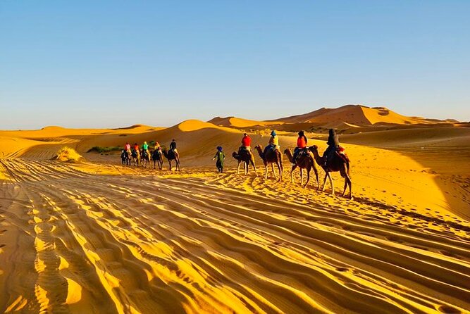 Camel Trekking & 1 Night Desert Camp - Health and Safety Considerations