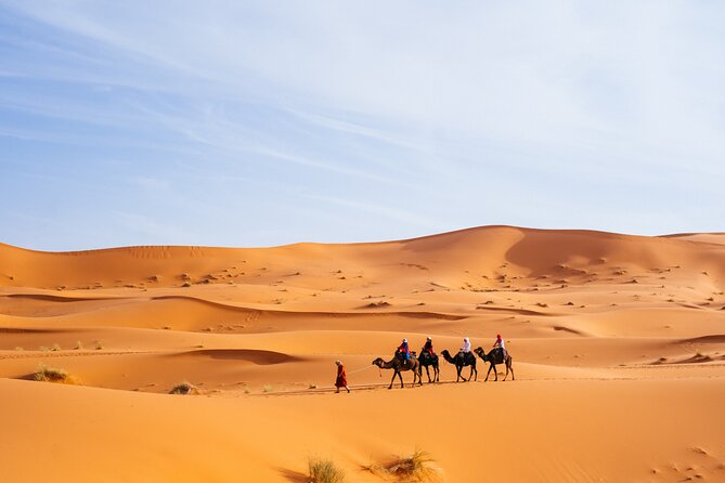 Camel Trekking in Open Red Dunes Desert - Pickup and Transportation Options