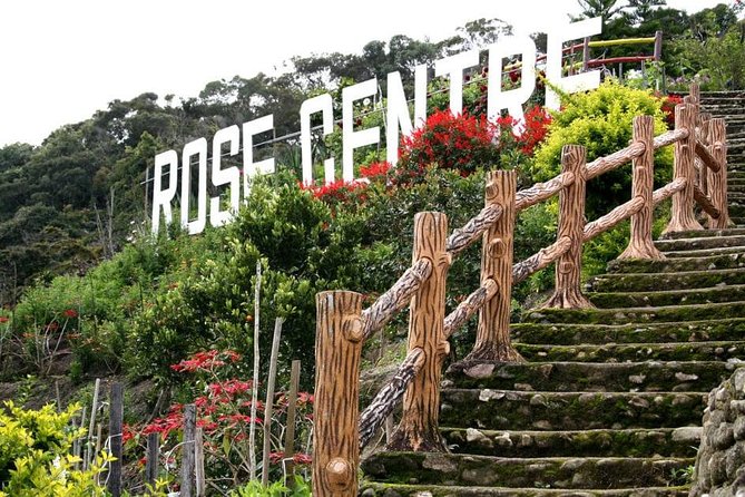 Cameron Highlands Tour With Lunch on Private Basis - Pricing Details