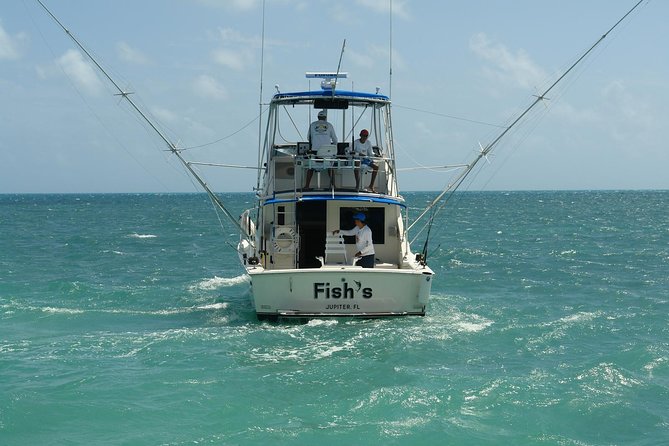 Cancun Fishing Charter Fishs - Feedback and Reviews