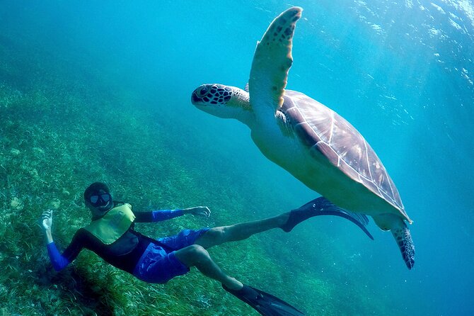 Cancun Snorkeling Adventure: Underwater Museum, Reef & Shipwreck - Customer Feedback
