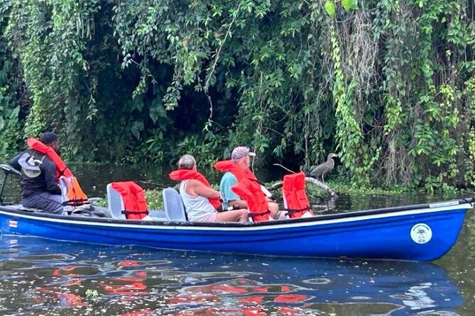 Canoe Tour in Tortuguero National Park - Navigating Tortugueros Lush Vegetation