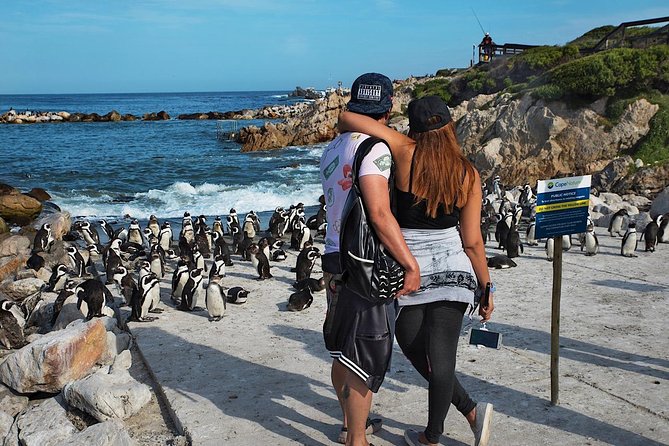 Cape Agulhas Full Day Private Tour From Cape Town - Seasonal Whale Watching in Hermanus