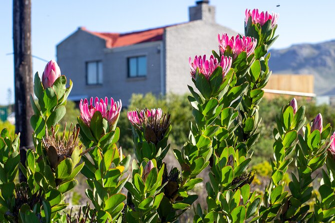 Cape Agulhas Full Day Tour - Booking Details