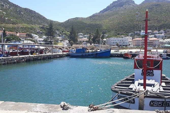Cape Point, Boulders Beach in Private Car Entrance Fees Included - Reviews and Feedback